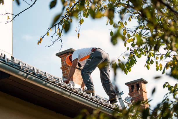 Best Storm Damage Roof Repair  in Bethel Rk, PA